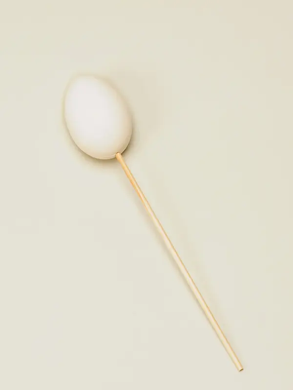 Ett egg med en pinne i 