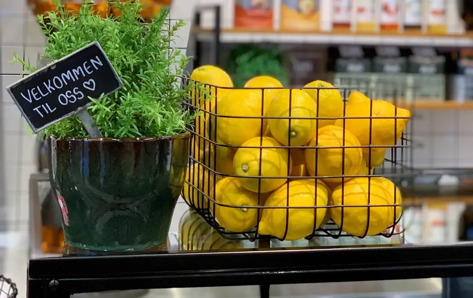 Sitroner og planter hos jordbærpikene