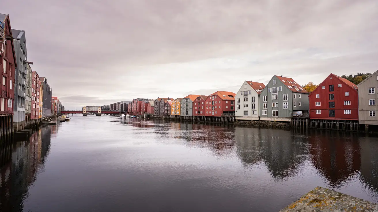 Fargerike trehus langs nidelva