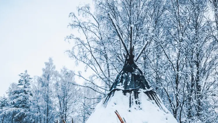 Cute reindeer waiting for sleigh standing on a snow field and looking at the camera against a snow covered traditional Lapland temporary shelter by the Sami People (lavvu, wigwam or kota) in snowy forest at night in Rovaniemi, Lapland, Finland, Europe




wigwam or kota) illuminated with lights in snowy forest at night in Rovaniemi, Lapland, Finland, Europe