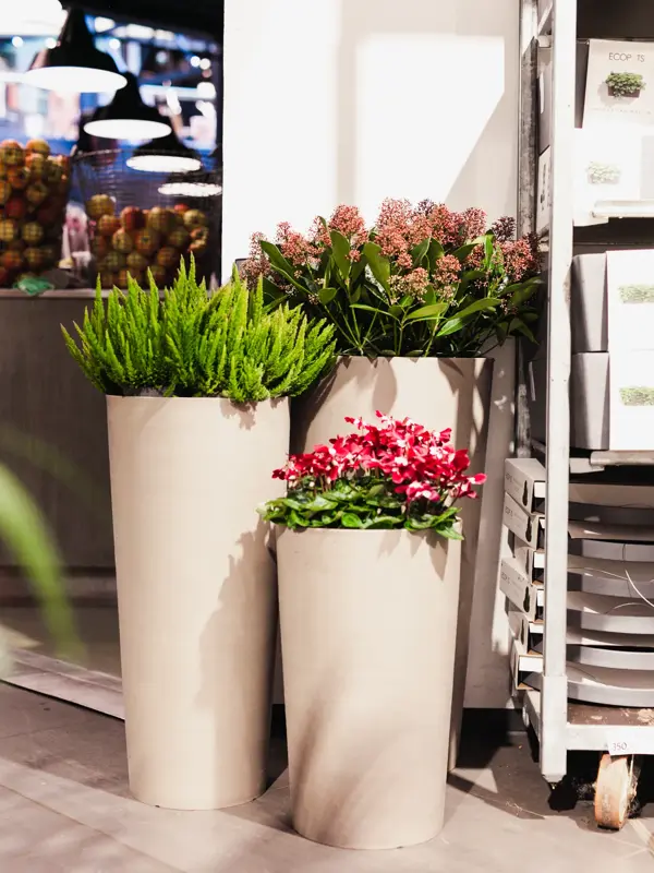 Blomster i potter
