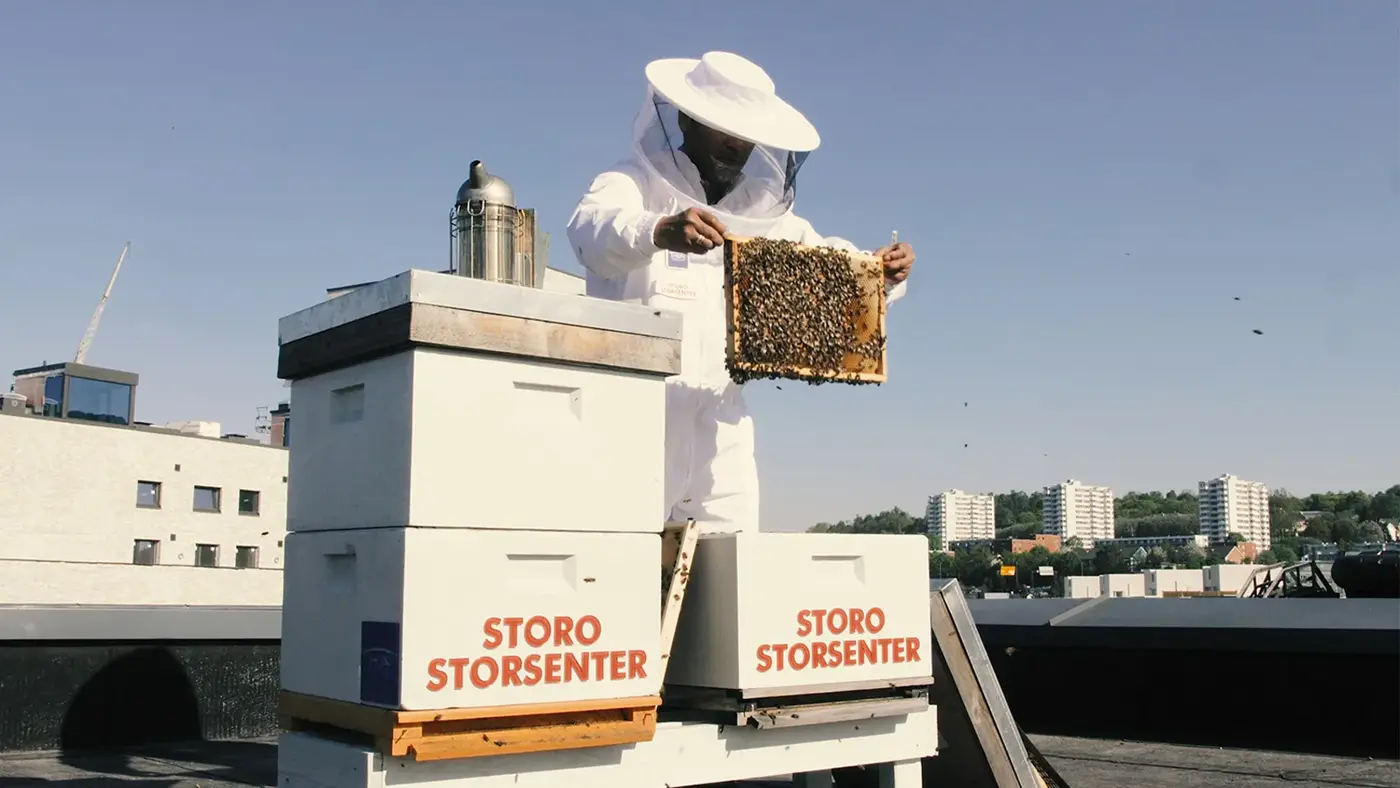 Mann som viser frem inne i en biekube