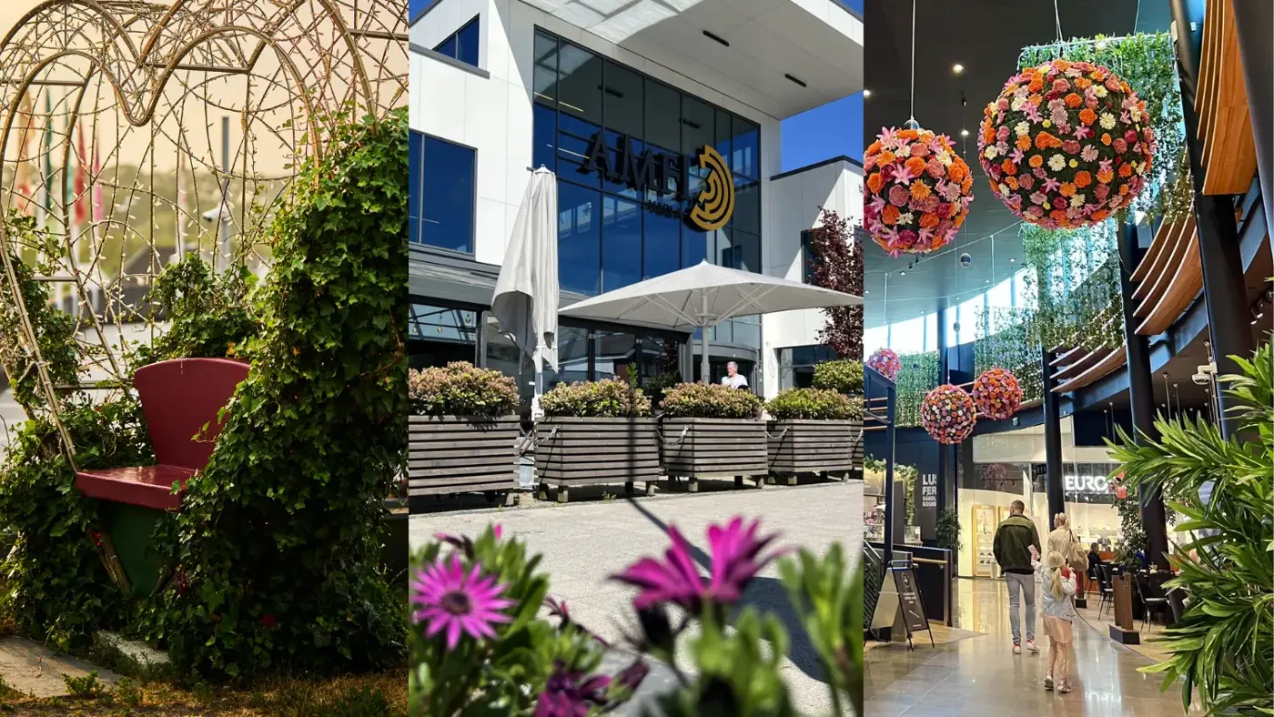 Design uten navn (2).png