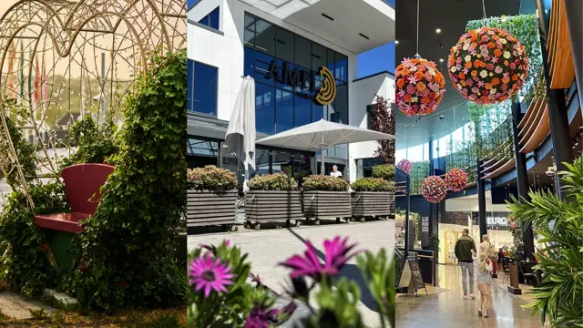 Design uten navn (2).png