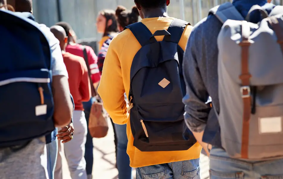 Rear view of male and female adult students walking at campus during sunny day