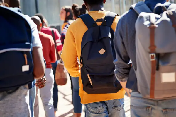 Rear view of male and female adult students walking at campus during sunny day