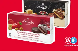 gf-anthonberg-uke8-4.3