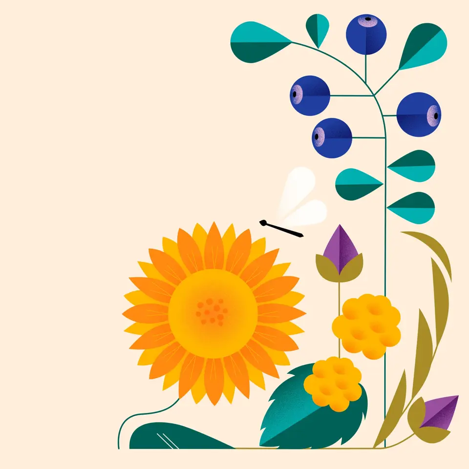 Blomster og frukt i høstfarger