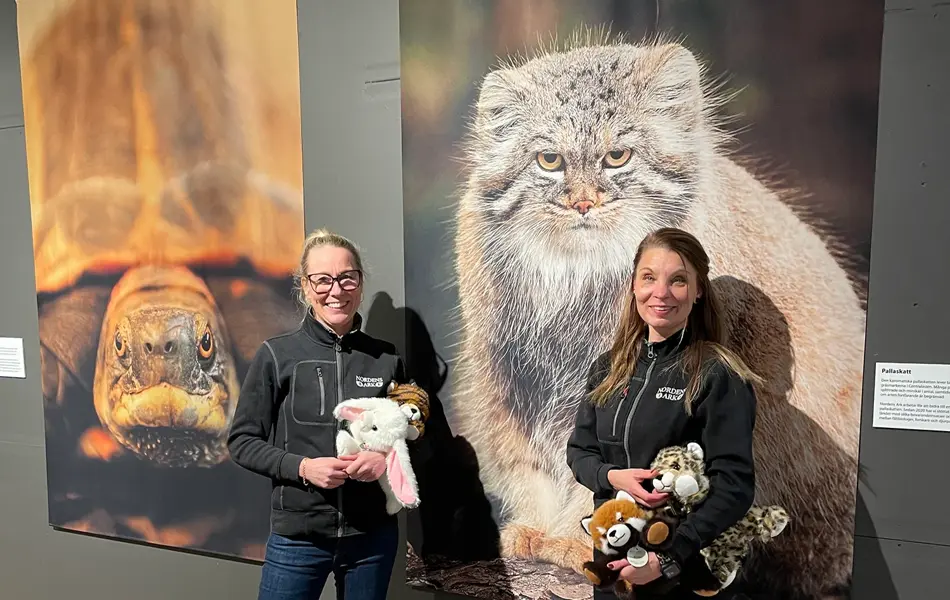 Nordens Ark på Torp hem