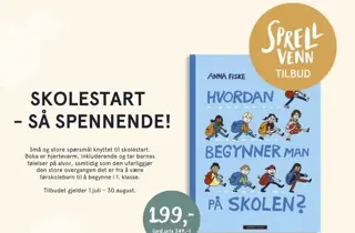 Eksempelbilde av tilbudet.