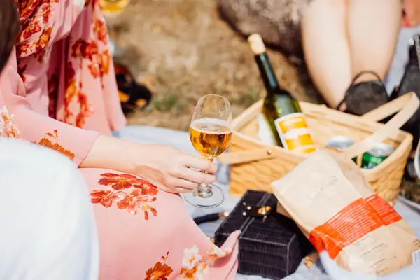 Nærbilde av bryllupsgjestenes utendørs piknik 