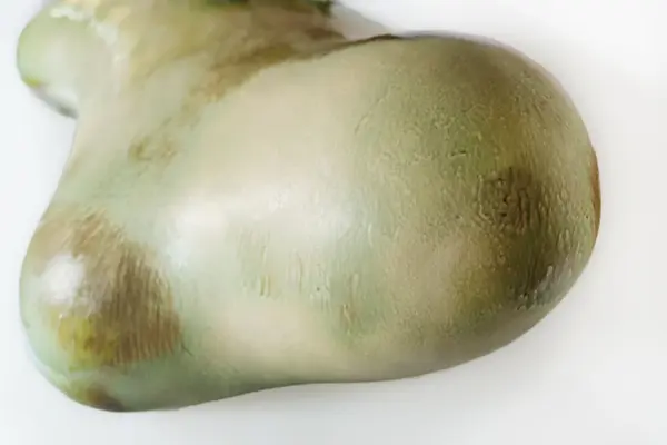 Ski Storsenter, Eirik Gjedrem