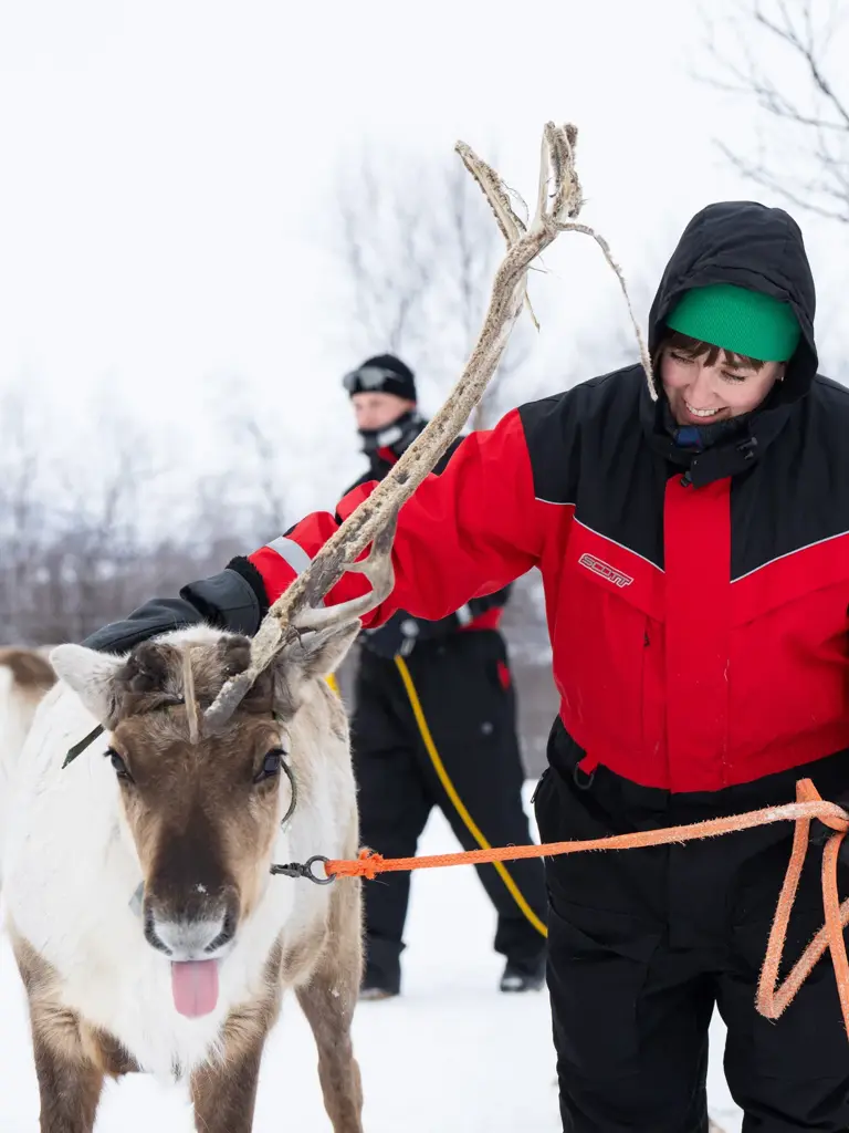 Person med rød jakke som klapper et reinsdyr ute på vinteren