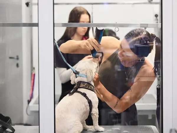 hund som er hos hundefrisør