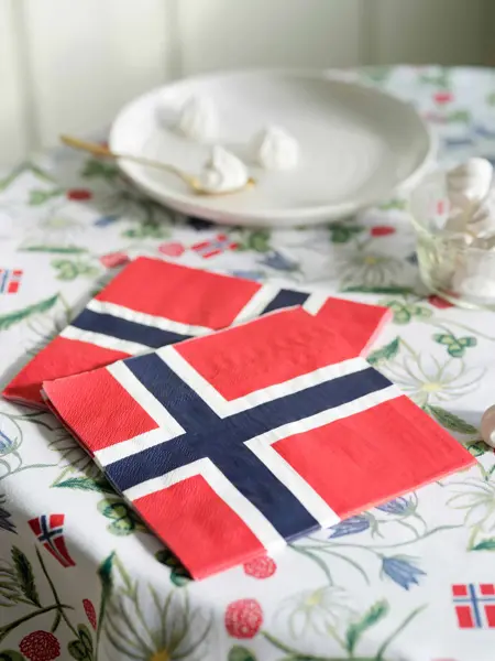 106009223 Hurra serviett