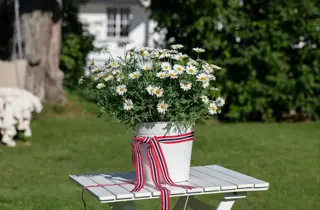 Tilbudsbilde for senter 92