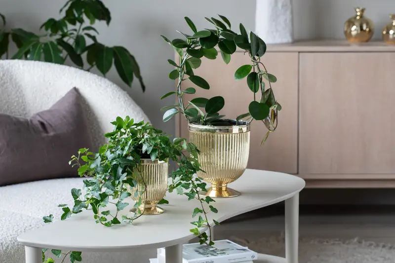 TS_Storo_artikkel_en-gronn-oase-i-hjemmet-ditt