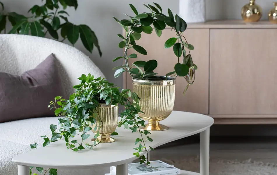 TS_Storo_artikkel_en-gronn-oase-i-hjemmet-ditt