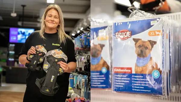 Produkter til hund