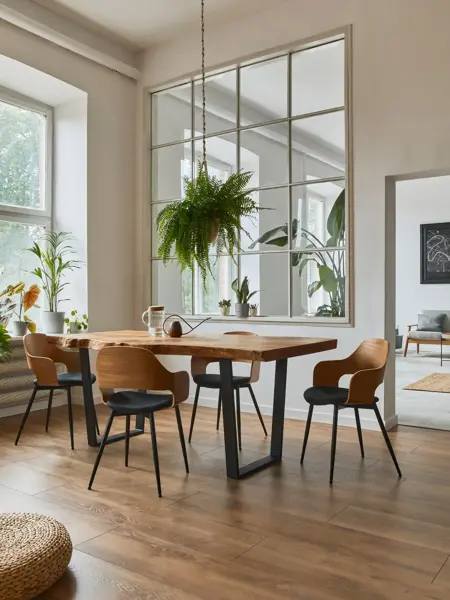 Interior design of scandinavian open space with velvet sofa, plants, furniture, in stylish home staging. Template.