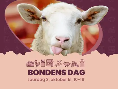 Aktivitetsbilde Bondens dag 2026