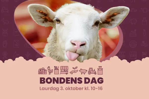 Aktivitetsbilde Bondens dag 2026