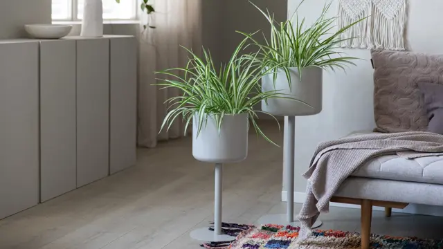 Mester Grønn 4_Grønnrenner.jpg