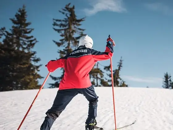 Gutt som går på ski