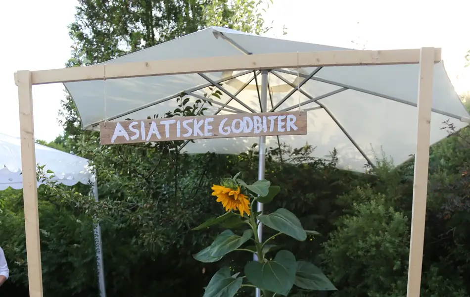 Matstand med tema asiatiske godbiter