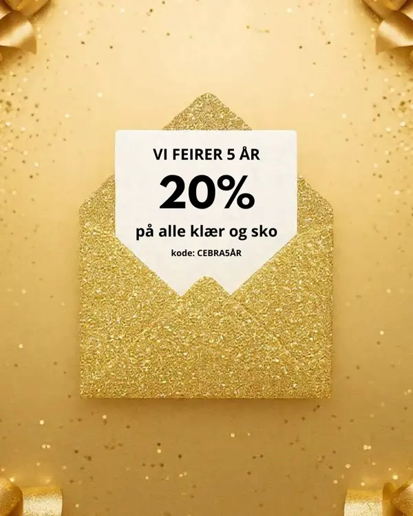 VI FEIRER 5 ÅR - 1