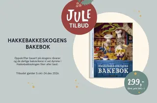 Eksempelbilde av tilbudet.
