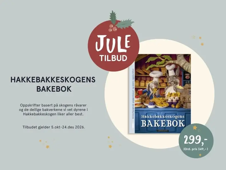 Eksempelbilde av tilbudet.