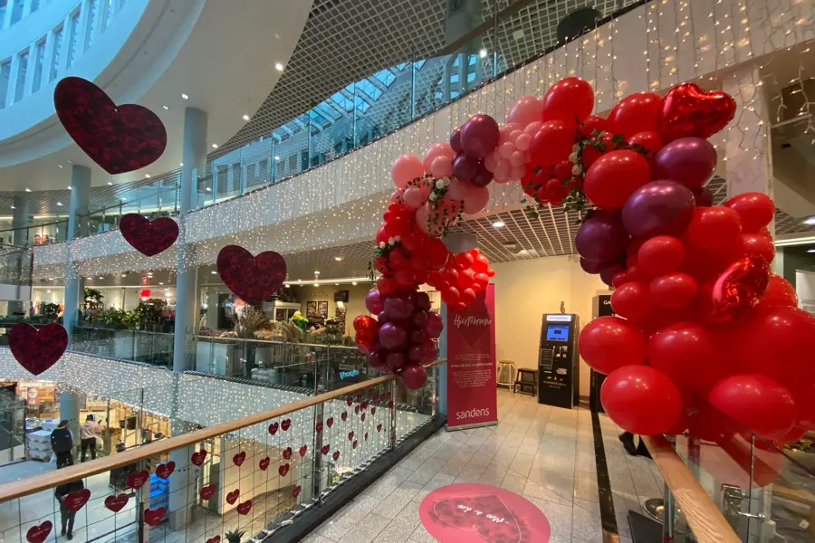 Hvem er din hjertevenn?