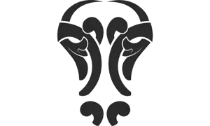 Vegard Antonsen Foto