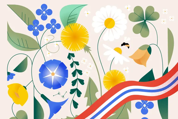 Inspirasjonsbilde Nettside 1