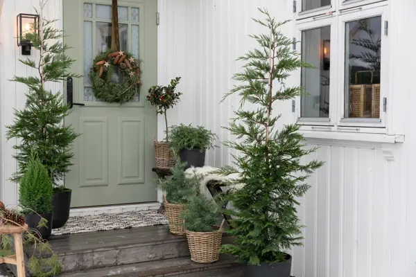 10_Novent-inngansgparti