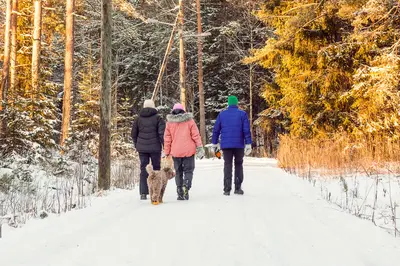 Tre personer som går tur med en hund på vinteren i Moss.