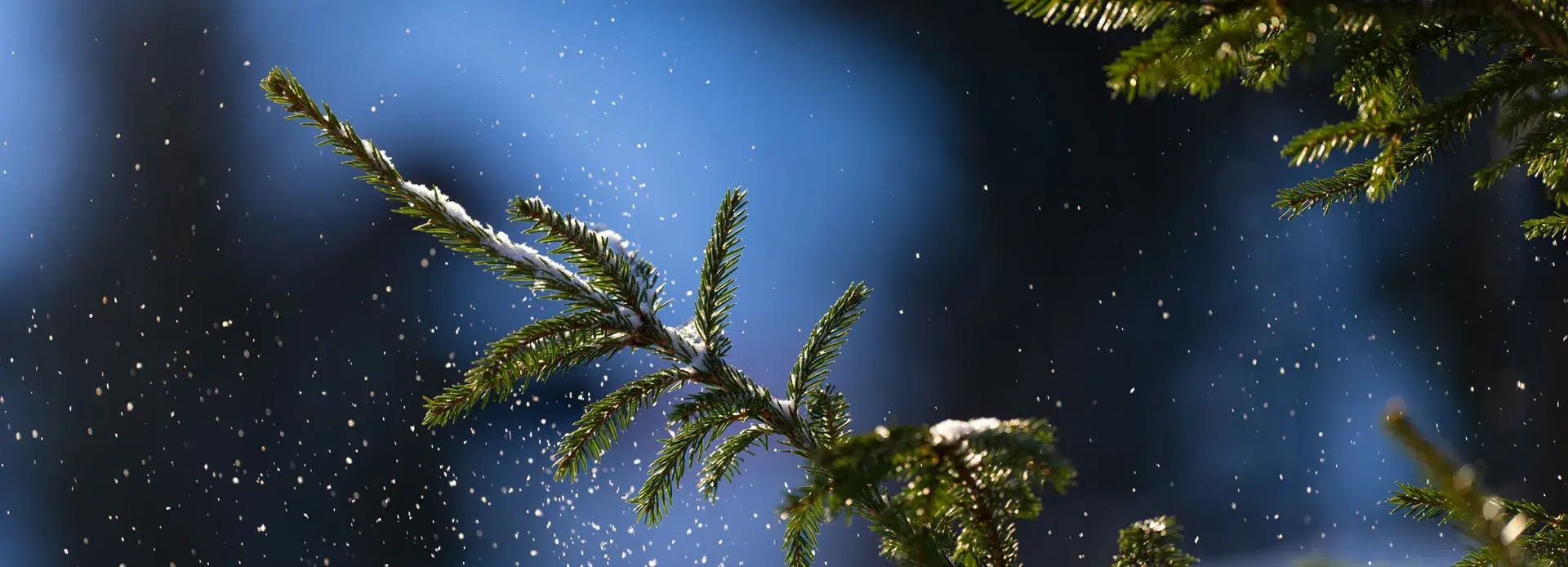 MAR_toppbilde_vinter_amfi