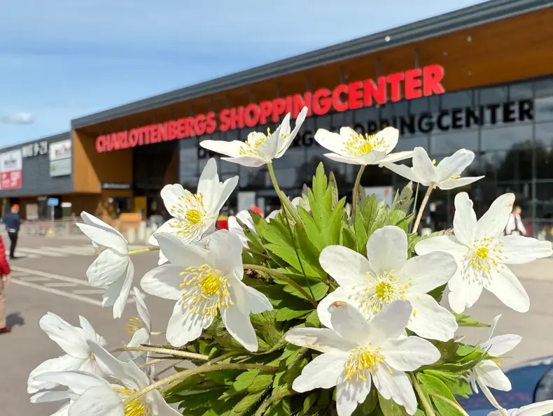 20250429_115042506_iOS