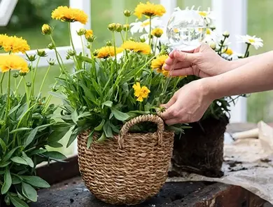 Ferievanner blomster Mester Grønn