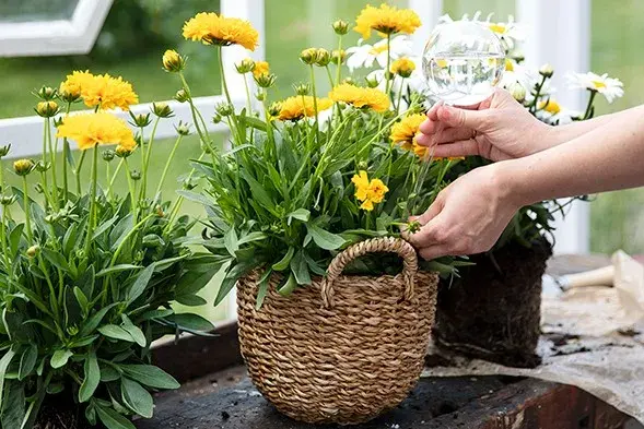 Ferievanner blomster Mester Grønn