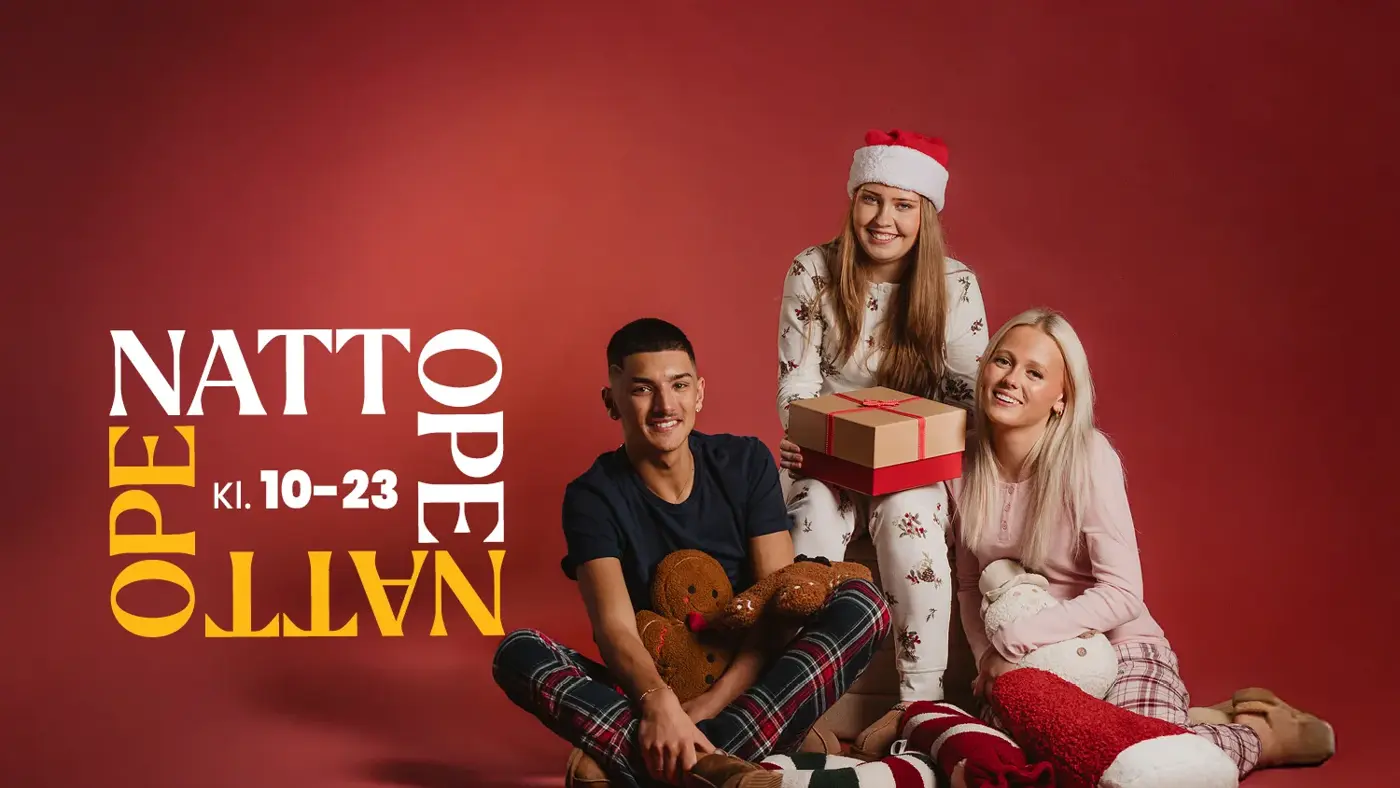 AMFIKNarvik_nattope_aktivitet