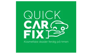 Quick Car Fix
