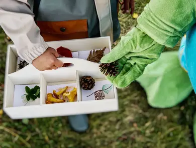 oskar som legger kongle i en kasse holdt av et barn
