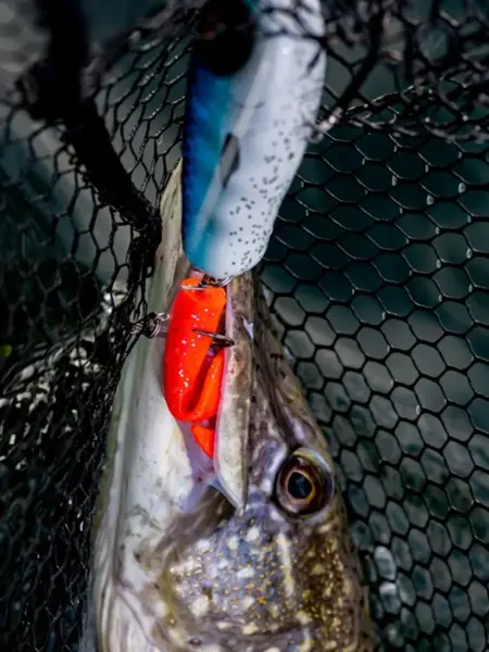 5. Stående – FISKING – 1.jpg