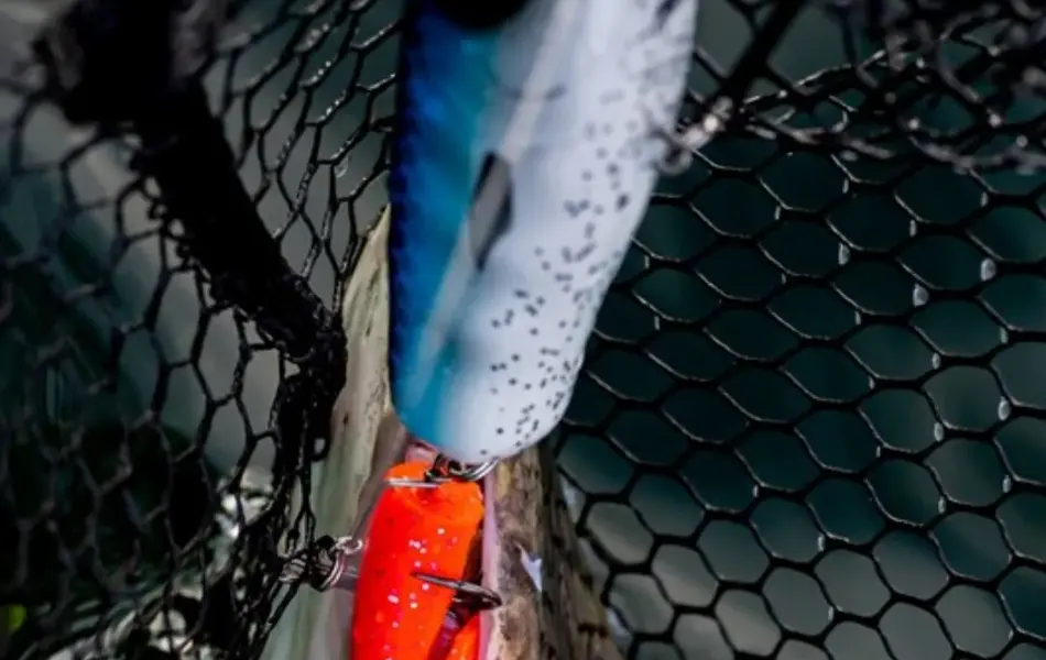 5. Stående – FISKING – 1.jpg