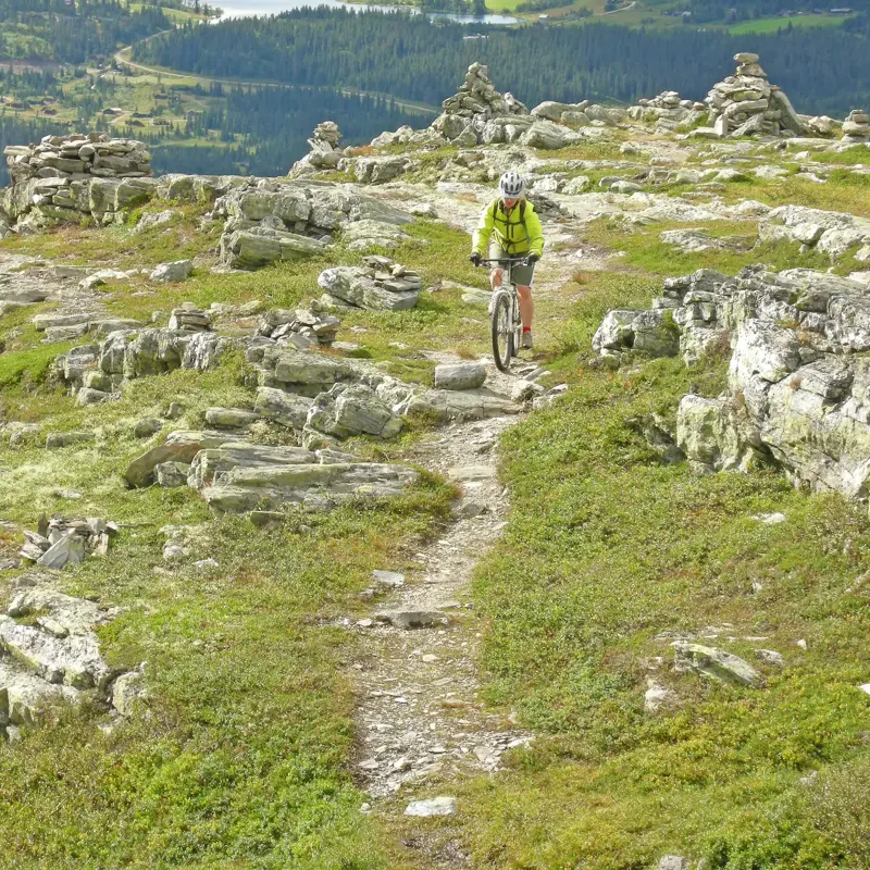Sykkel i terreng med utsikt over Skeikampen