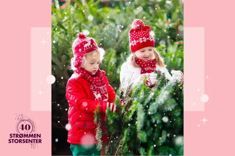 jub Nettside (stor 3x2) - 5