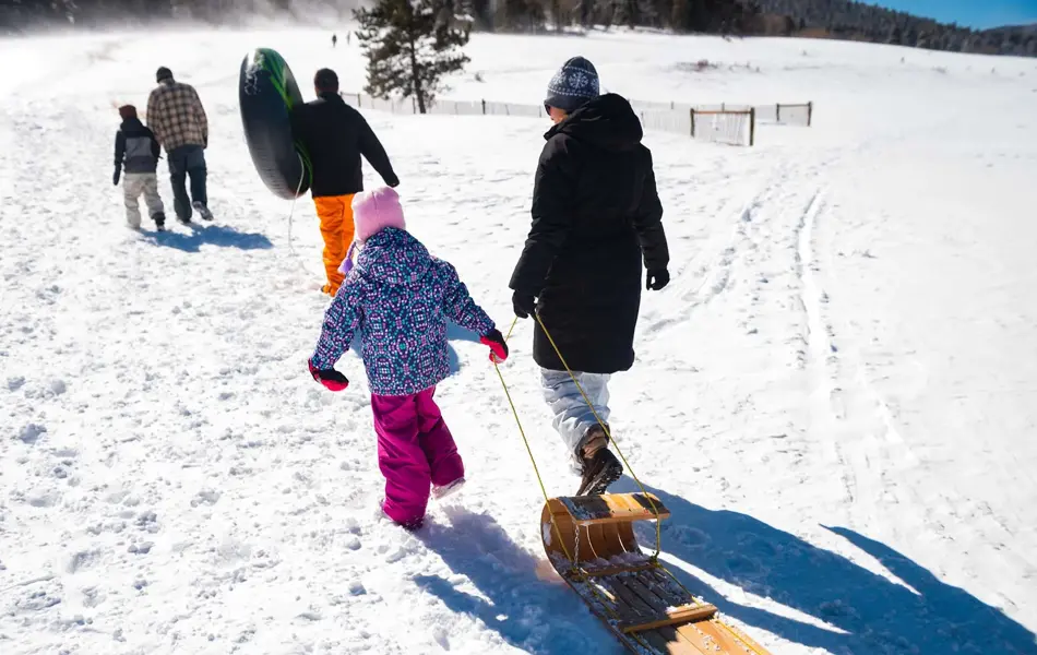 Voksne og barn sett bakfra mens de går i snøen og drar på kjelke og bærer badering til å ake på