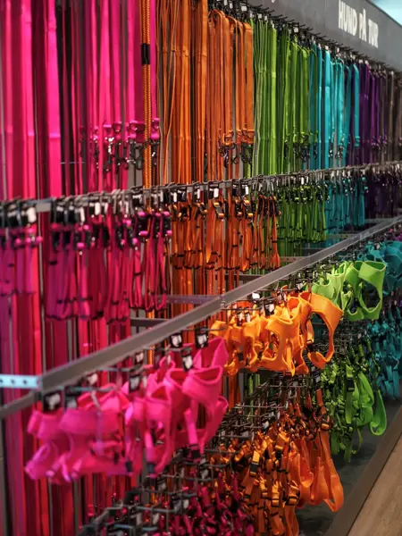 Vegg med hundeseler i regnbuens farger